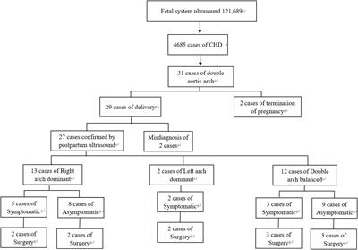 Evaluation of tracheal diameter and angles in fetuses with double aortic arch using prenatal ultrasound: implications for postnatal management